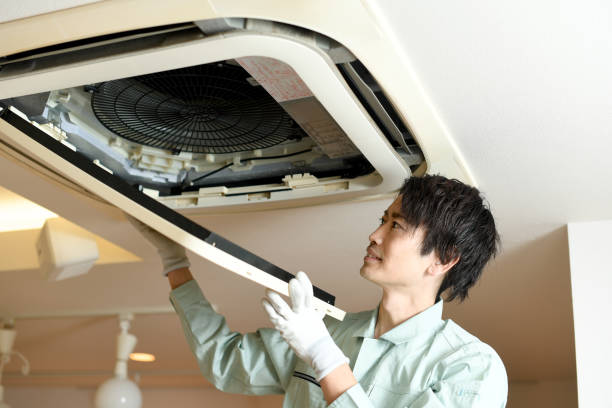 Best Air Duct Cleaning Near Me  in Brandon, FL